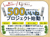 記念すべき☆500いいね!☆キャンペーン実施