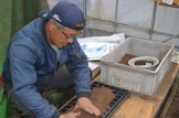 神奈川県綾瀬市の「みのりファーム」でスイートコーンの種まき農場体験