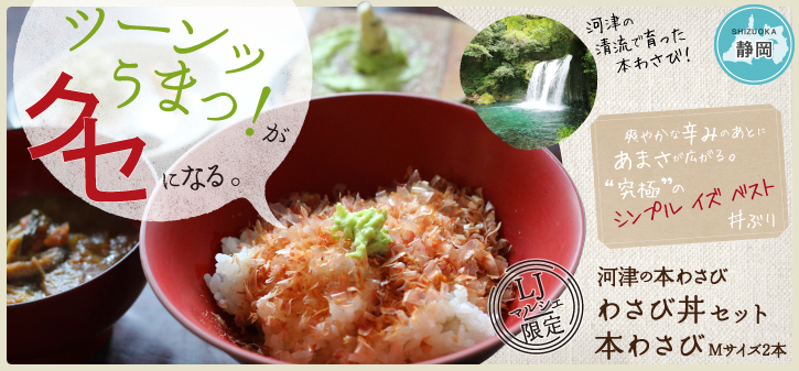 河津わさび丼セット