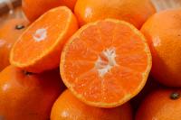 【静岡県】　2025年三ヶ日完熟興津早生みかん(5kg)