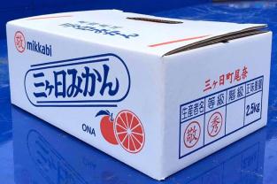 【静岡県】　2025年三ヶ日完熟興津早生みかん(10kg)